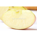 /msite/products/detail/productid/53827525/id/540205.html
